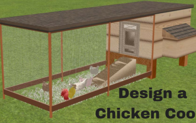 Project 42, Donation cost US$4850: Built chicken coops for 2 villages to start a joint chicken farm in Nisur village for both Nisur Village (35 families) and Barchadif Village (37 families) in Bartang Valley, Rushan District