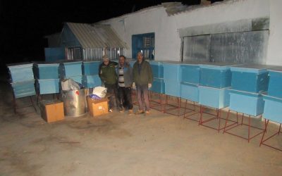 Project 71 (Donation cost US$6,250) Expanded and upgraded 2 bee farms as a joint business in Miyonshar Village of 114 families, Gund District